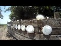 Shooting Eggs in HD slow motion with AK 47 and GoPro Hero