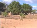 Diaca 2003
