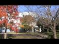20081118194039TDU Inzai JP