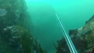 Pesca en Ortegal con Antonio P. Lagoa. Escape lubina.