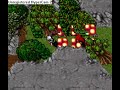 PvP on StormServer