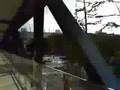 東京競馬場動画2