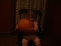 emelina and the pumpkin
