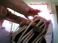Tabla Solo