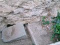 danger danger