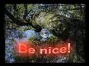 Be Nice (Please Don't... View Video