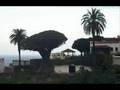 Video Promocional Icod - InfoIcod.com