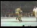 Joe-Frazier-vs-Bob-F