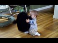 videos de Carter and his penguin