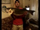 lubina de 7,100 kilos,pescada el 27,9,2008