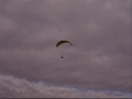 PARAGLIDING at bossington. LOOK OUT !!