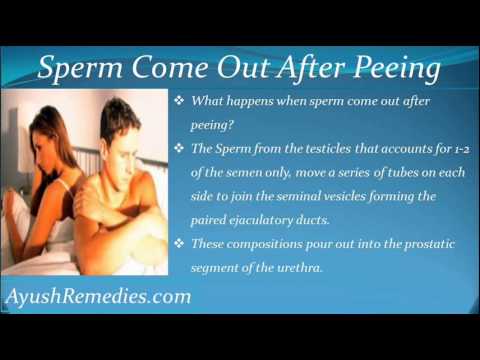 how to avoid sperm leak after intercourse