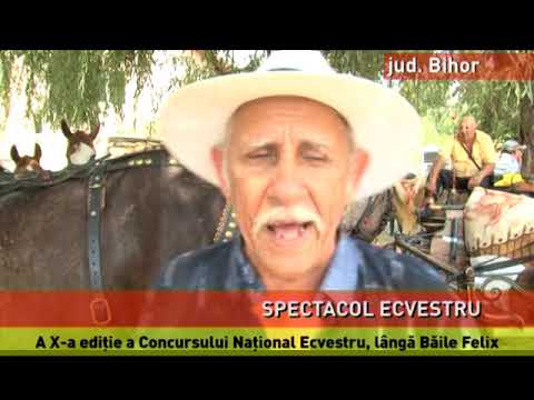 Concurs ecvestru, lângă Băile Felix