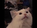 https://youtu.be/RRNanbmD1xk