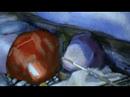 Realistic painting: Stones, by artist Elizabeth Tyler