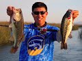 TackleTour - Team Daiwa Zillion Rods