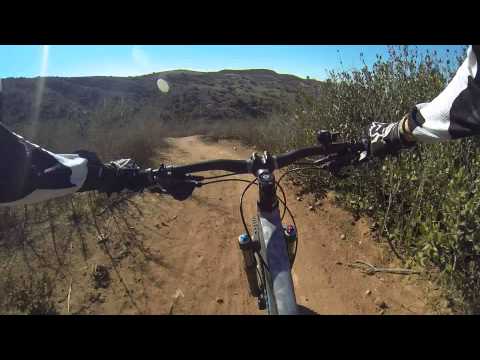 how to eliminate yucca