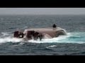 Tragic Accident [HD]