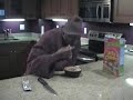 Search Video