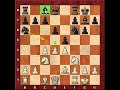 chess - king\ chess - king\