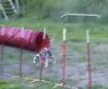 Grin slalom - 3 day Grin slalom - 3 day