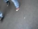GiiRLSZ GONA WiiLD =]