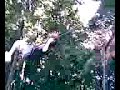 Me on a Swing!