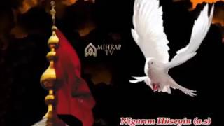 Dunya bir yana Husen bir yana