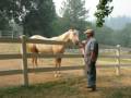 Blind filly\ Blind filly\