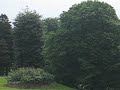 Alexandra Palace Panoramic View of London