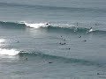 http://www.frussurf.com La Salvaje 20 Octubre 2008 http://www.frussurf.com La Salvaje 20 Octubre 2008
