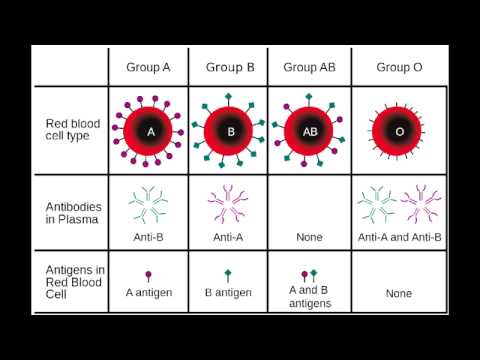 how to define blood group