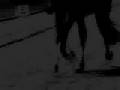 Equestrianism - Faint (Remix)