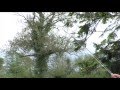 Brookhall Trout Fishery