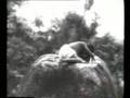 Telugu - Palletoori Pillagada -  MA BHOOMI 