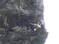 videos de Nadya on Man Overboad