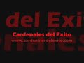 cardenales del exito   la gallera
