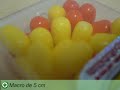 C�mera Digital Lumix FX12