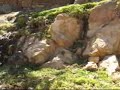 huanta bajada del cristo blanco en mototaxi(version complet)
