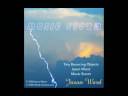 Jason Ward ~ Tiny Bouncing Objects Music Storm CD music Jason Ward ~ Tiny Bouncing Objects Music Storm CD music