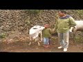 De SAPI\ De SAPI\