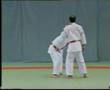 Goshin Jitsu (1º Parte)