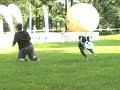Frisbee DCDC\ Frisbee DCDC\