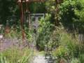 videos de Landscape Design with Alma Hecht