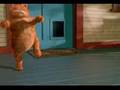 Assistir ao v�deo