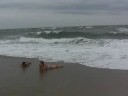 Kill Devil Hills / Beach