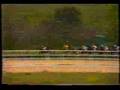 1991 (155) Premio CORPA (1.ª C.) (FARO GALEA)