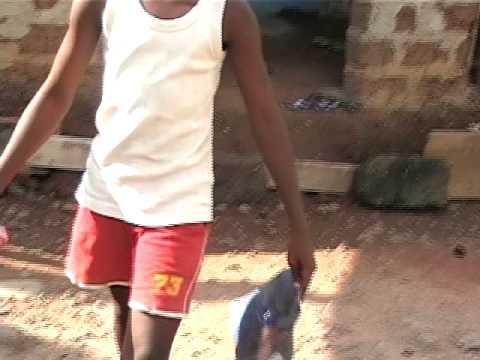 See video