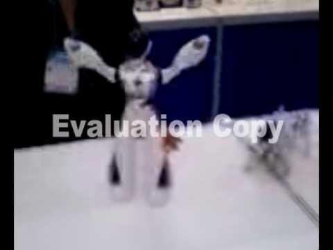 YouTube Preview Image