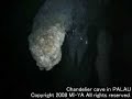 ??????????Chandelier cave ??????????? PALAU ???